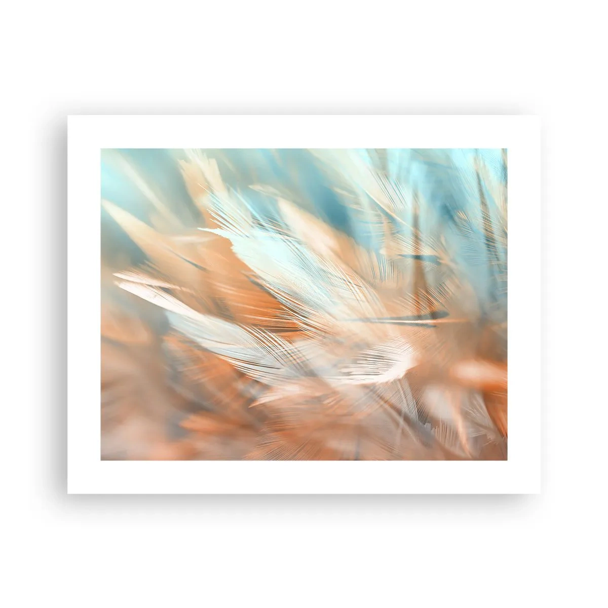 Affiche - Poster - Au pays de la douceur - 50x40 cm