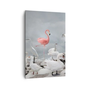 Impression sur toile - Image sur toile - Un flamant rose parmi des cygnes blancs sur fond de lac - 80x120cm - Comment suis-je arrivé là? - Décoration murale moderne pour le salon et la chambre ARTTOR