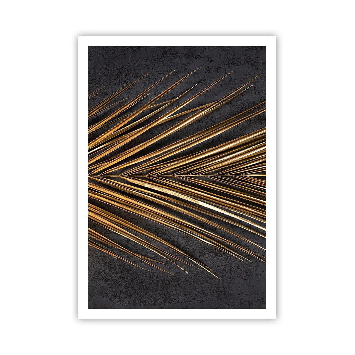 Affiche - Poster - L'or des tropiques - 70x100 cm