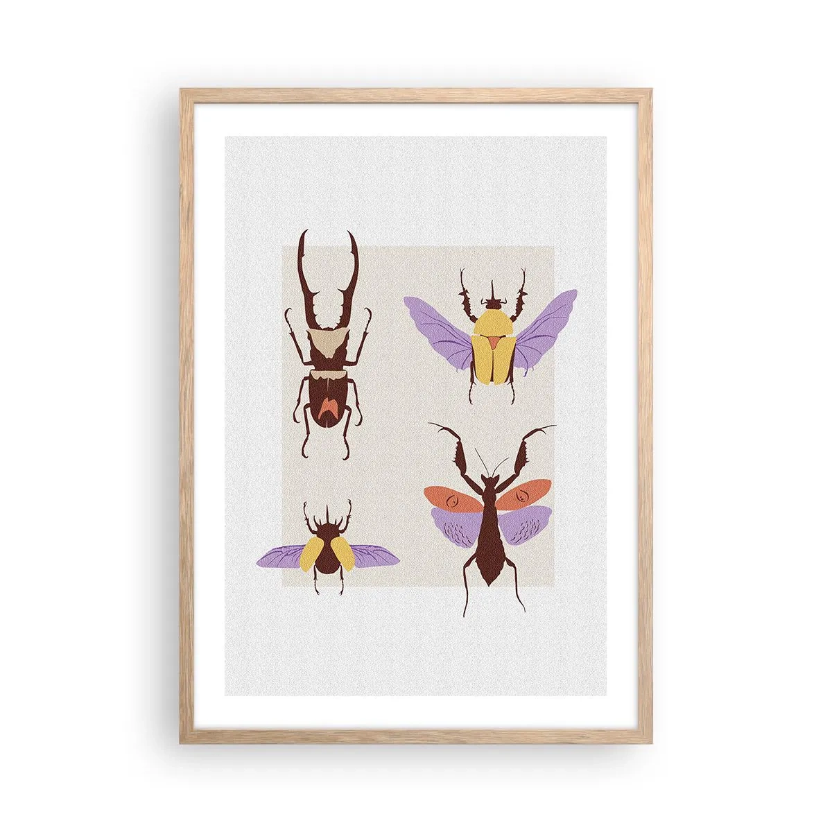Affiche dans un chêne clair - Poster - Le monde des insectes - 50x70 cm