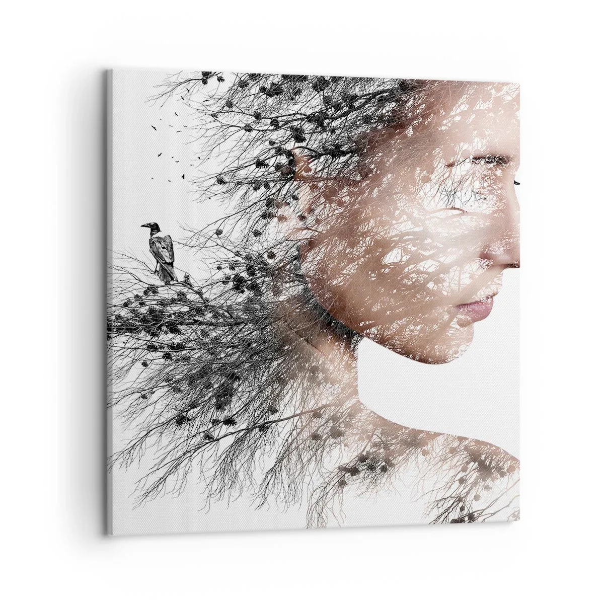 Impression sur toile - Image sur toile - L'âme de la forêt - 50x50 cm