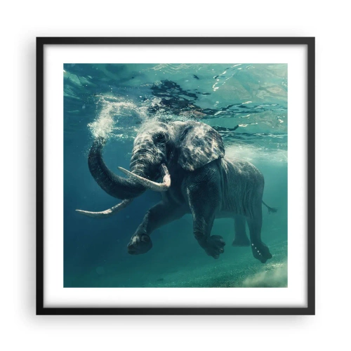 Affiche dans un cadre noir - Poster - Tout le monde aime nager - 50x50 cm