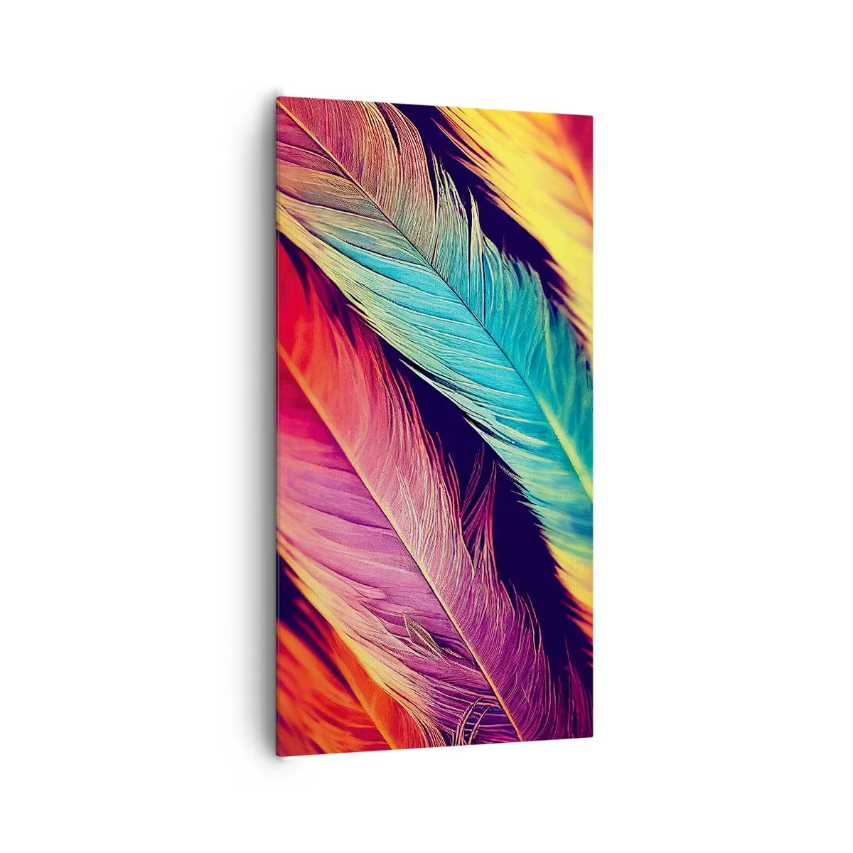Impression sur toile - Image sur toile - Arc-en-ciel de plumes - 65x120 cm