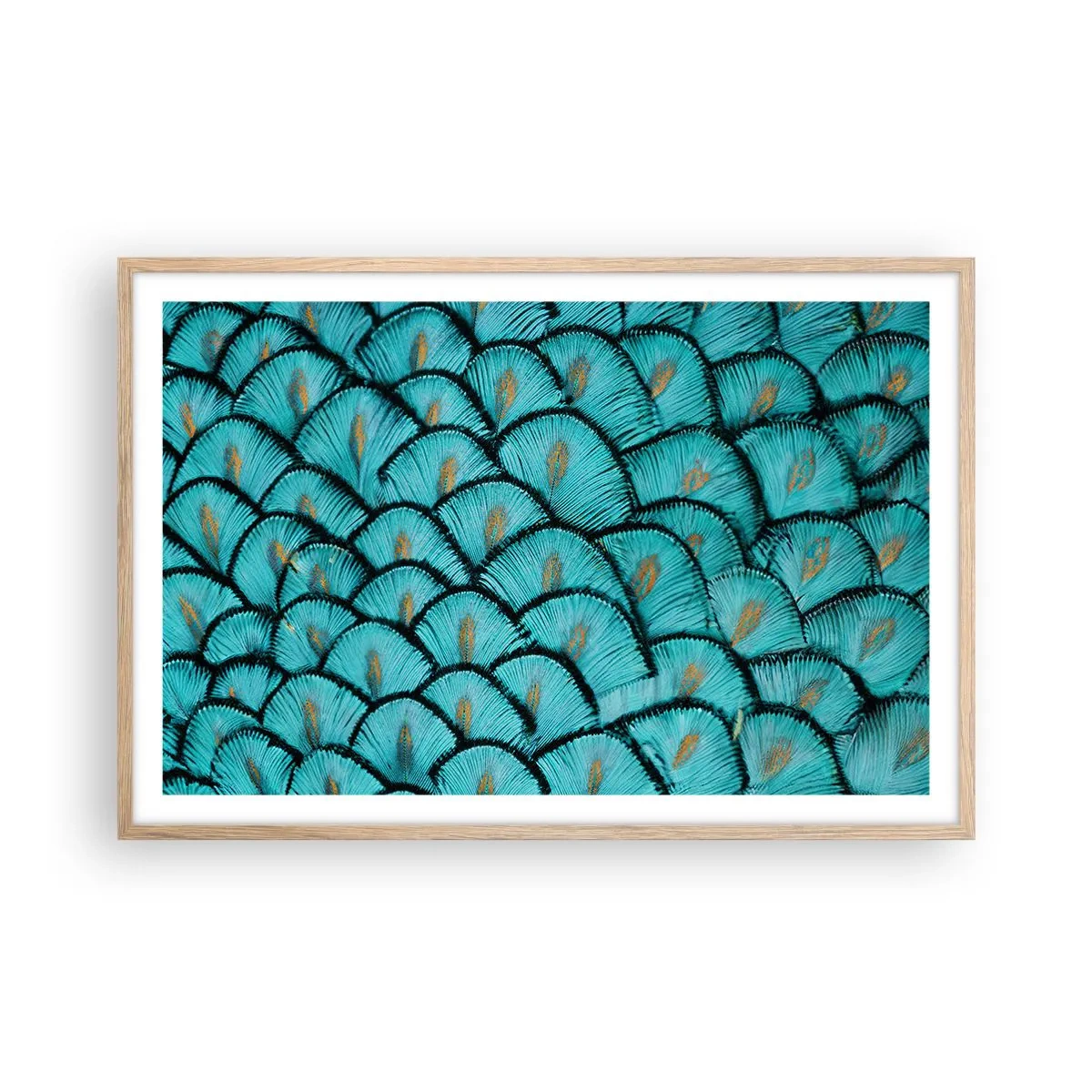 Affiche dans un chêne clair - Poster - Le grand gala des plumes - 91x61 cm