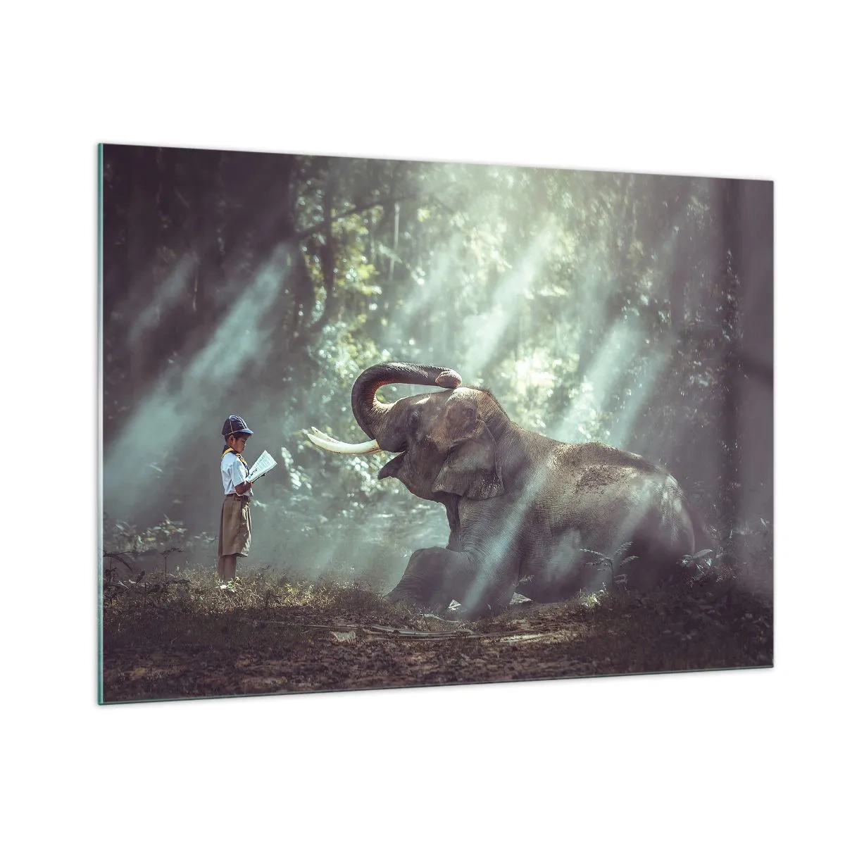 Impression sur verre - Image sur verre - Un garçon avec un livre et un éléphant dans un décor forestier - 100x70cm - Et écoute ça… - Décoration murale moderne pour le salon et la chambre ARTTOR