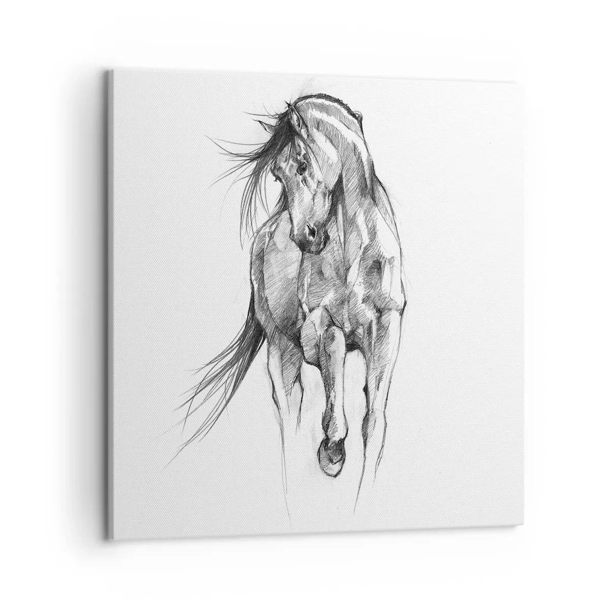 Impression sur toile - Image sur toile - D'un trot gracieux - 50x50 cm