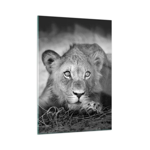 Impression sur verre - Image sur verre - Un lionceau en noir et blanc regardant la caméra - 50x70cm - Chiot royal - Décoration murale moderne pour le salon et la chambre ARTTOR
