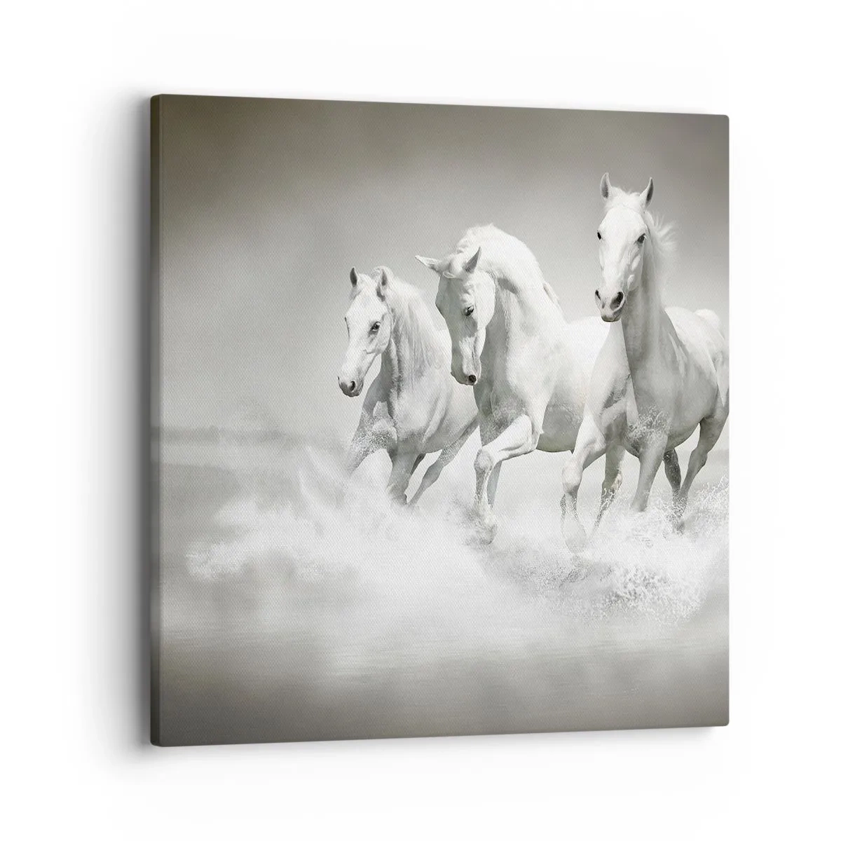 Impression sur toile - Image sur toile - La folie blanche - 40x40 cm
