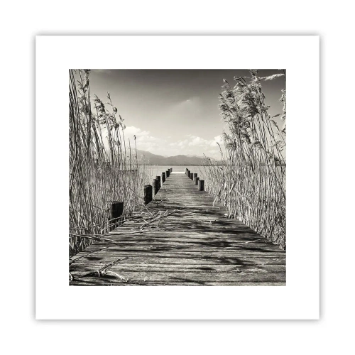 Affiche - Poster - Dans le calme de l'herbe - 30x30 cm