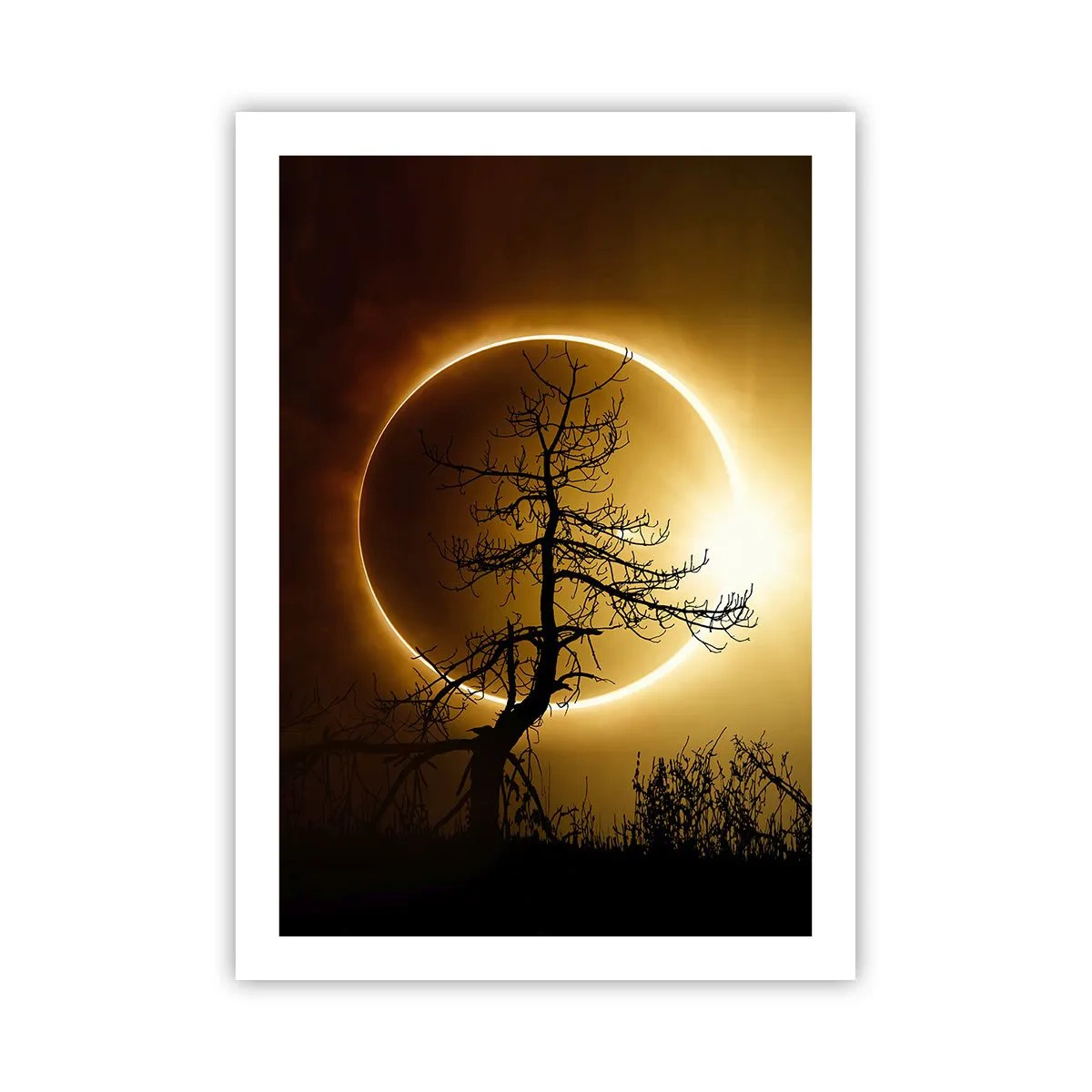 Affiche - Poster - Un coucher de soleil phénoménal avec un arbre au premier plan - 50x70cm - Éclipse totale - Décoration murale moderne pour le salon et la chambre ARTTOR
