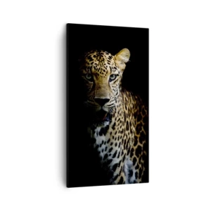 Impression sur toile - Image sur toile - Beauté sombre - 45x80 cm