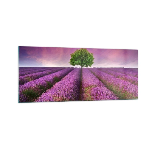 Impression sur verre - Image sur verre - Dans un champs de lavande - 100x40 cm