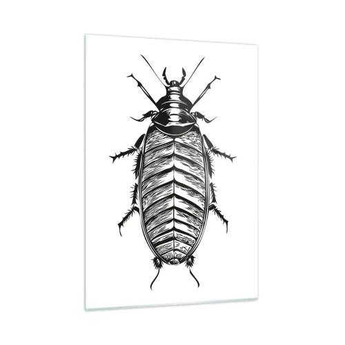 Impression sur verre - Image sur verre - Illustration en noir et blanc d'un insecte sur fond blanc - 50x70cm - Quel spécimen! - Décoration murale moderne pour le salon et la chambre ARTTOR