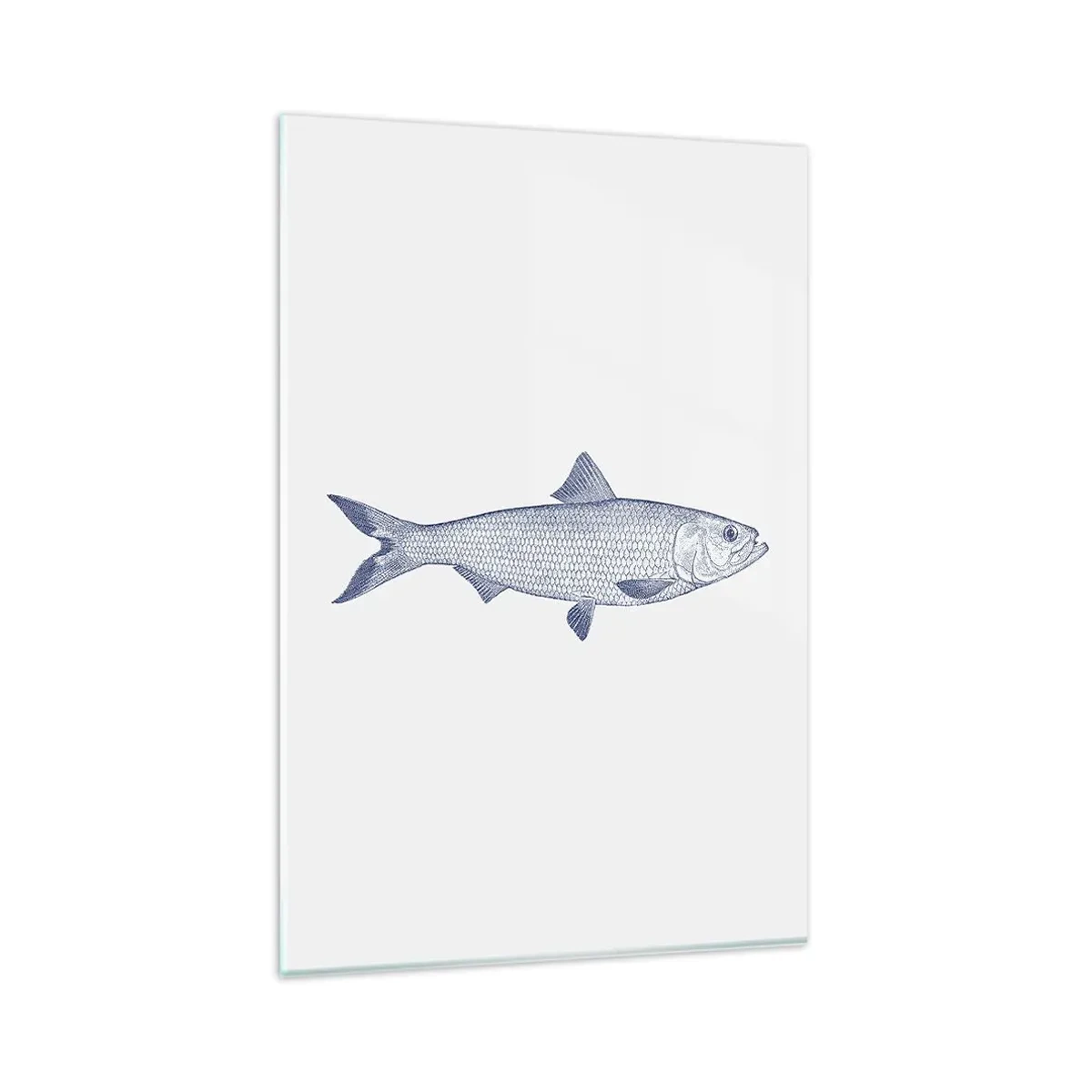 Impression sur verre - Image sur verre - Illustration d'un poisson dans des tons de bleu sur fond clair - 80x120cm - Salutations des mers du nord - Décoration murale moderne pour le salon et la chambre ARTTOR