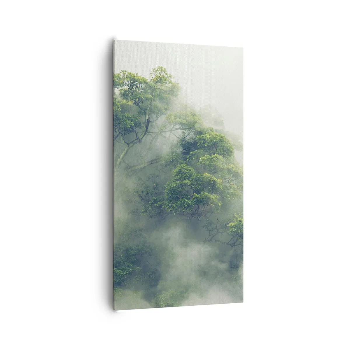 Impression sur toile - Image sur toile - Enveloppé de brouillard - 65x120 cm