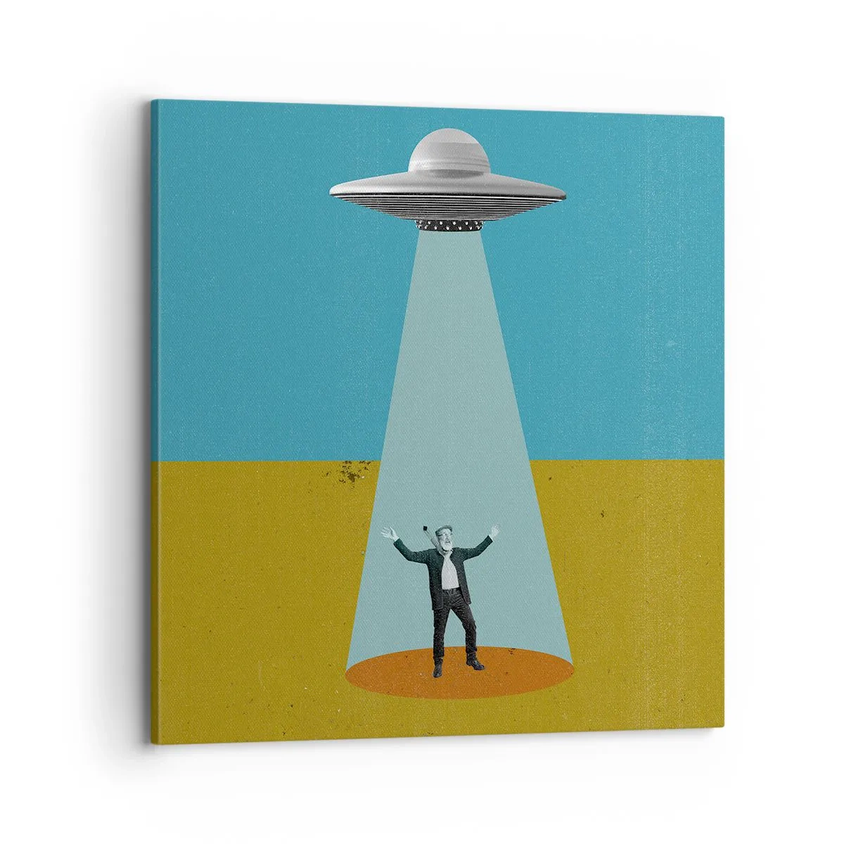 Impression sur toile - Image sur toile - Rencontre proche - 70x70 cm