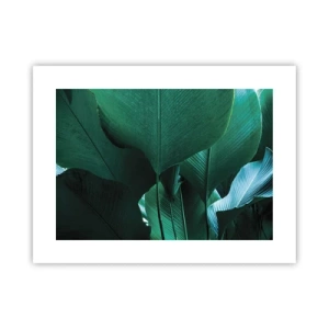 Affiche - Poster - Tourné vers la lumière - 40x30 cm