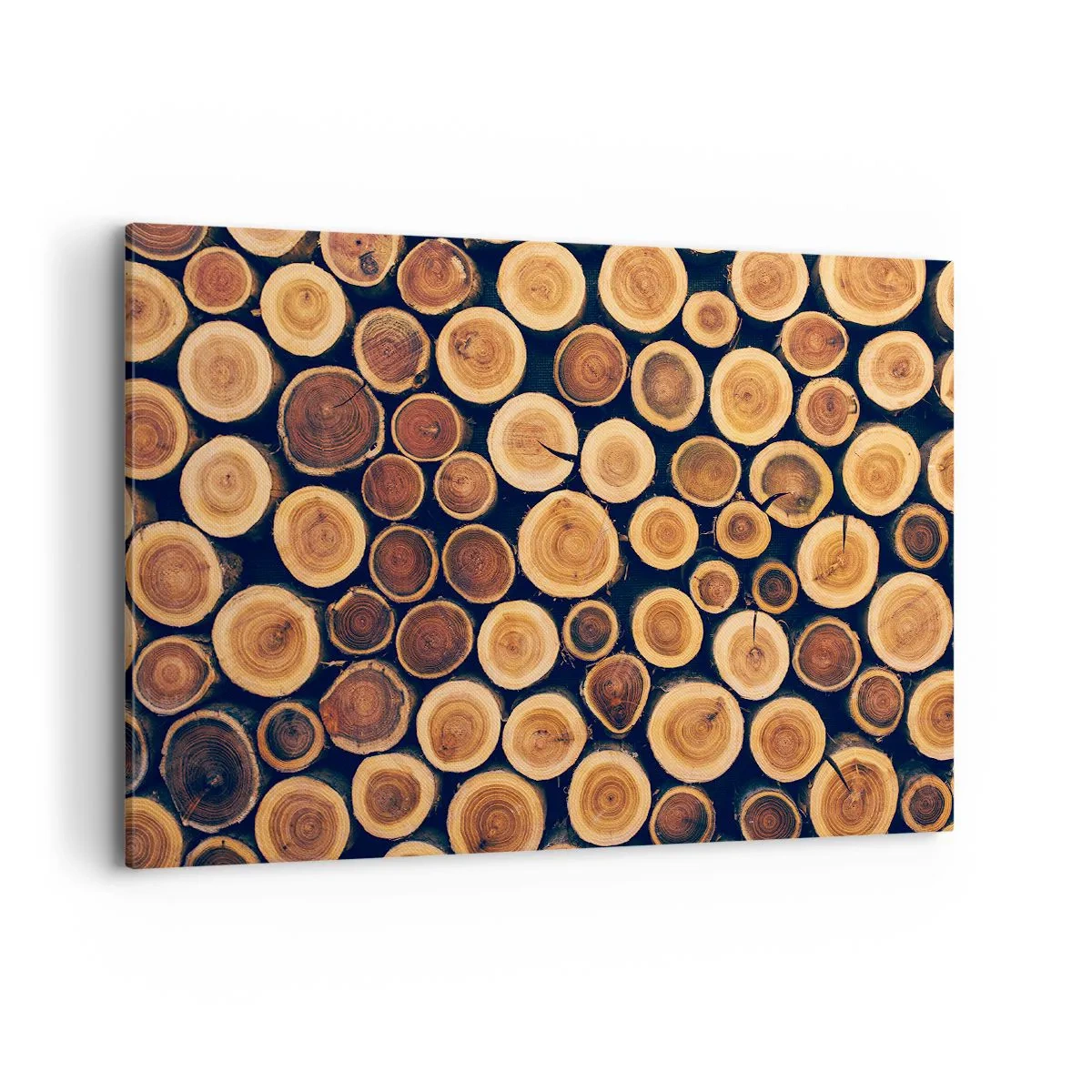 Impression sur toile - Image sur toile - Modèle réalisé à partir de sections transversales de bûches de bois - 100x70cm - Quel âge je semble avoir ? - Décoration murale moderne pour le salon et la chambre ARTTOR