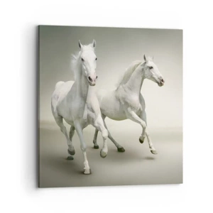 Impression sur toile - Image sur toile - White power! - 70x70 cm