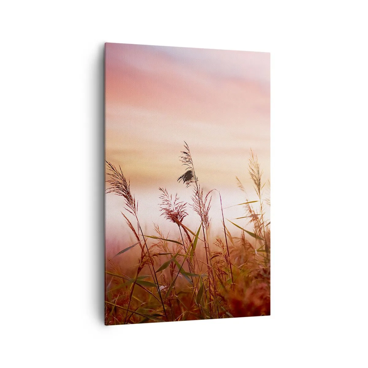 Impression sur toile - Image sur toile - Un champ d'herbe sur fond de coucher de soleil pittoresque - 80x120cm - Cerfs-volants, pissenlits, vent - Décoration murale moderne pour le salon et la chambre ARTTOR