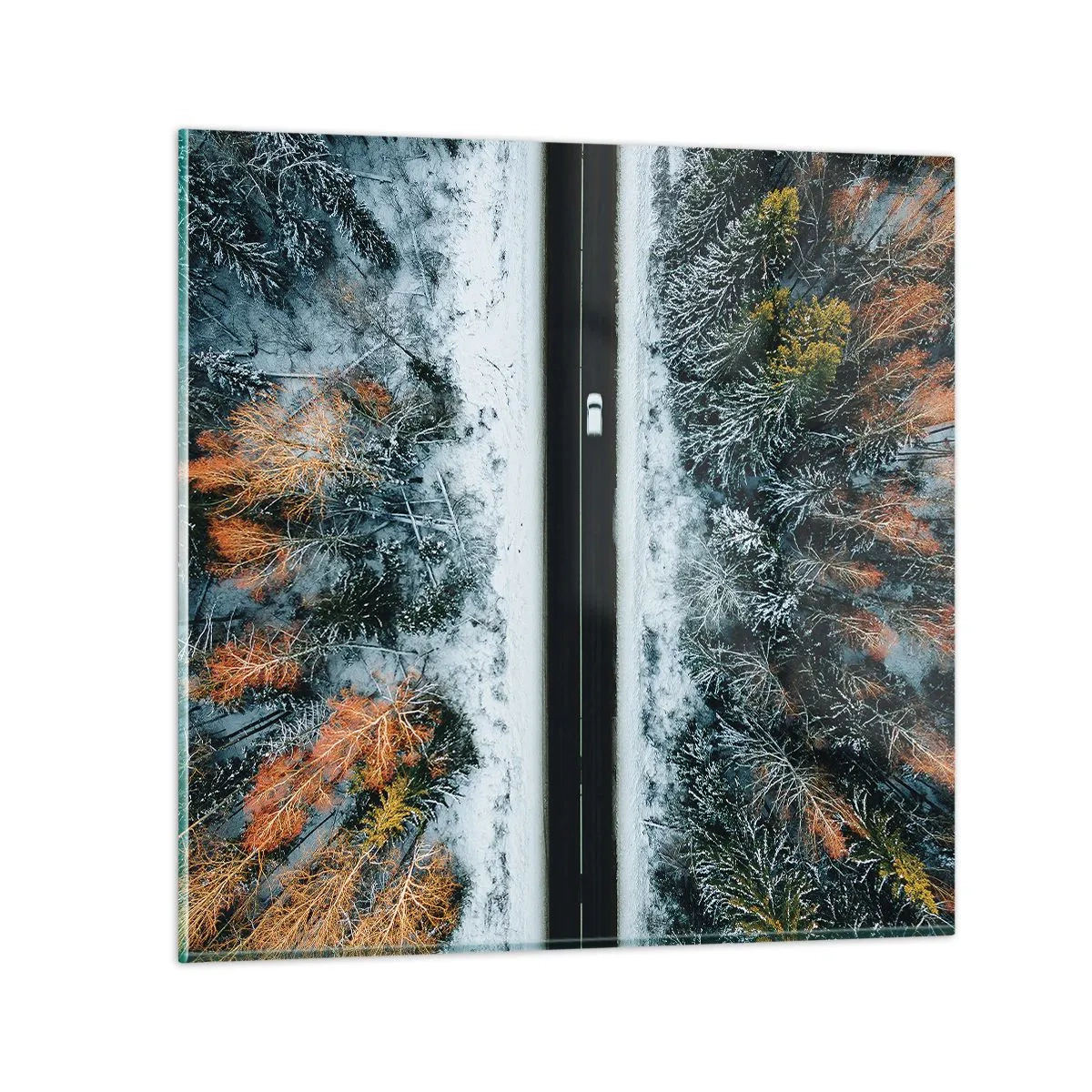 Impression sur verre - Image sur verre - Couper à travers la forêt d'hiver - 40x40 cm