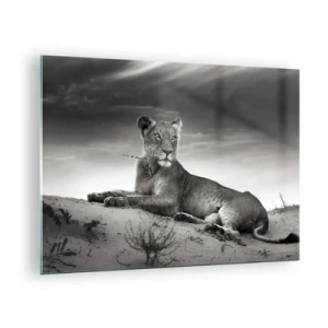 Impression sur verre - Image sur verre - Laissé gisant dans le désert dans un cadre noir et blanc - 70x50cm - La reine du désert reste - Décoration murale moderne pour le salon et la chambre ARTTOR