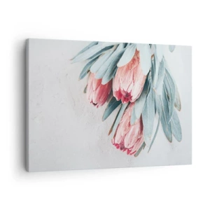 Impression sur toile - Image sur toile - Fleurs de protéa roses subtiles sur fond clair - 70x50cm - Honte de leur propre beauté - Décoration murale moderne pour le salon et la chambre ARTTOR