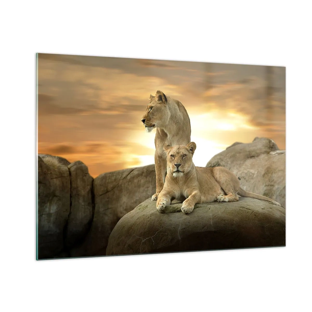 Impression sur verre - Image sur verre - Majesté royale - 100x70cm - Majesté royale - Décoration murale moderne pour le salon et la chambre ARTTOR