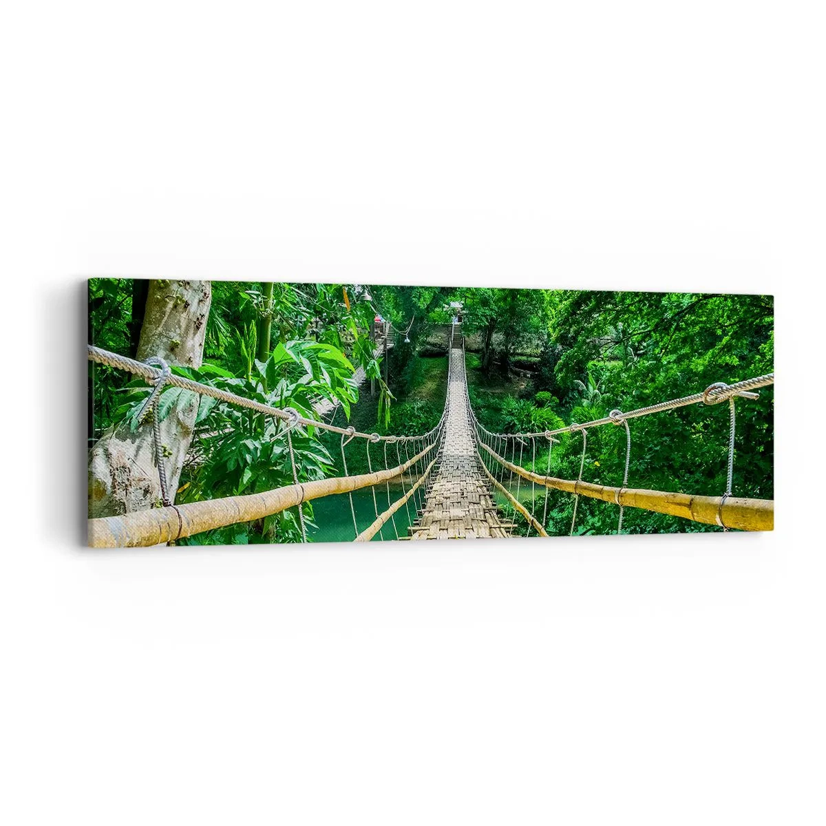 Impression sur toile - Image sur toile - Pont de singe en pleine nature - 90x30 cm