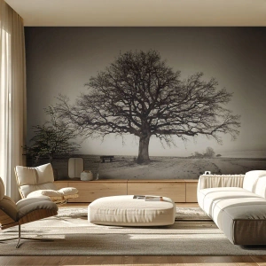 Papier Peint Photo Standard Eco - D'ici à l'éternité - Paysage, Arbre, Nature - 400x280 cm