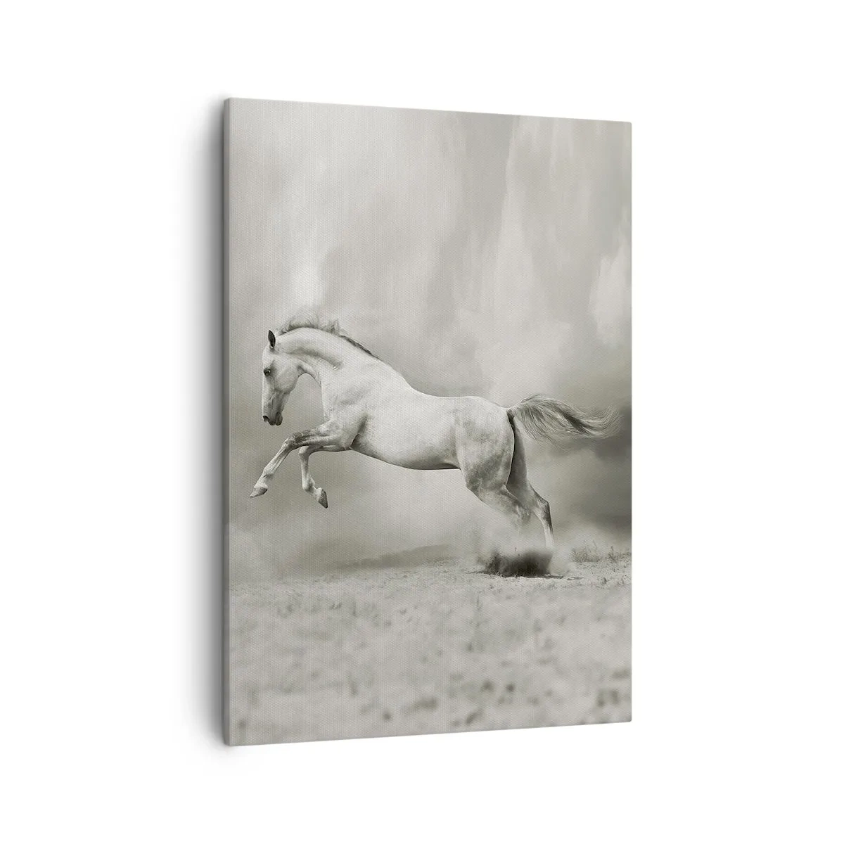 Impression sur toile - Image sur toile - Un cheval blanc dans un saut dynamique sur fond de nuages brumeux. - 50x70cm - Entre le réveil et le sommeil - Décoration murale moderne pour le salon et la chambre ARTTOR
