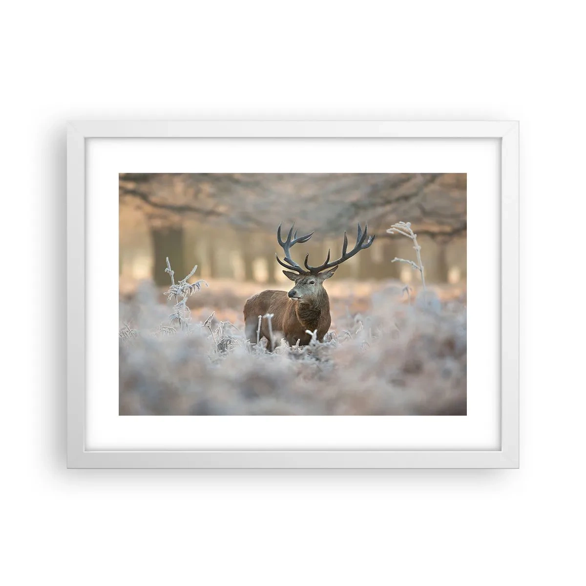 Affiche dans un cadre blanc - Poster - Une matinée animée - 40x30 cm