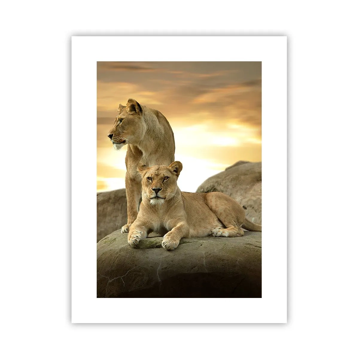 Affiche - Poster - Majesté royale - 30x40 cm