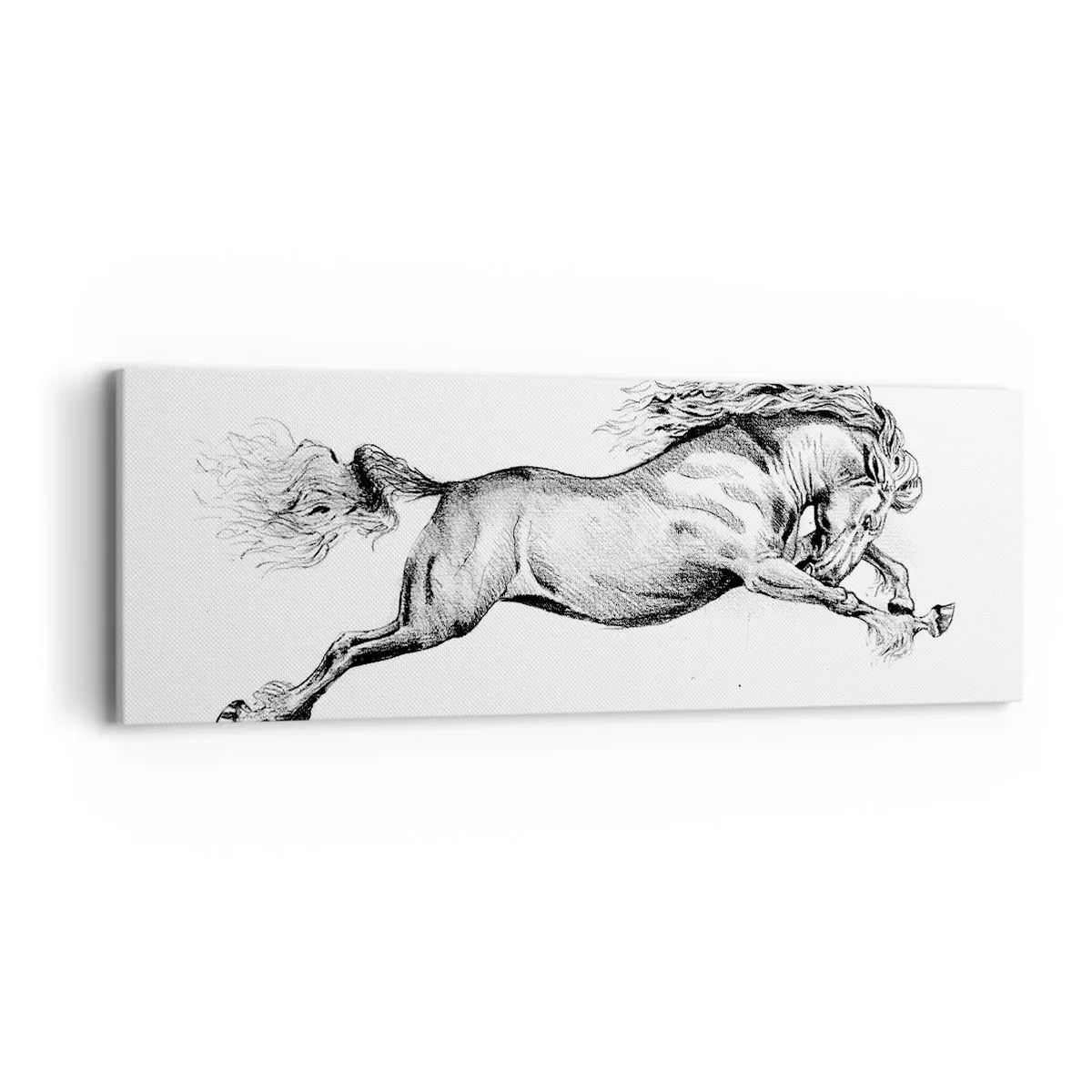Impression sur toile - Image sur toile - Immortalisé au galop - 90x30 cm