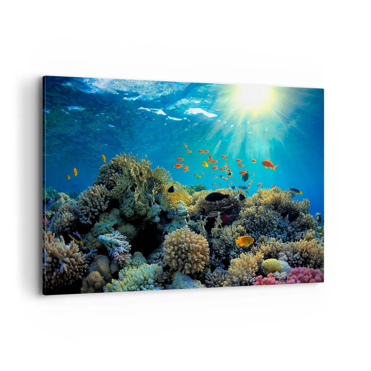 Impression sur toile - Image sur toile - Récif corallien avec des poissons sous les rayons du soleil sous l'eau - 120x80cm - Trésor sous-marin - Décoration murale moderne pour le salon et la chambre ARTTOR