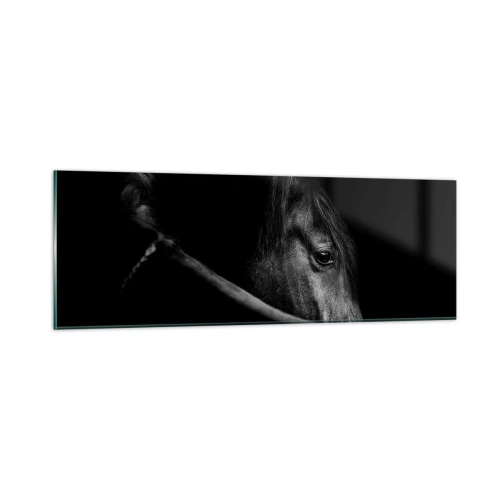 Impression sur verre - Image sur verre - Prince Noir - 90x30 cm