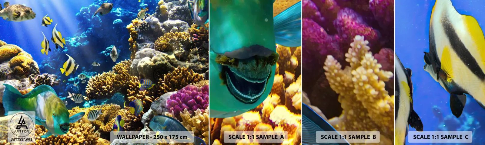 Échantillon De Papier Peint Standard Eco - Beaucoup de circulation sur la route des vacances - récif de corail, Océan, Poisson - 100x30 cm