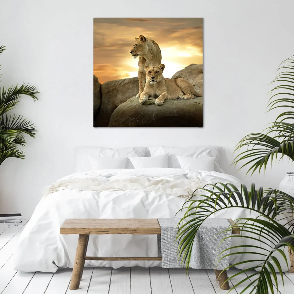 Impression sur toile - Image sur toile - Majesté royale - 30x30 cm