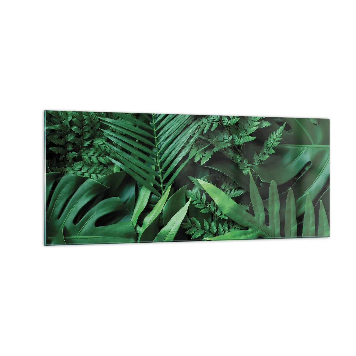 Impression sur verre - Image sur verre - Emmitouflé de verdure - 100x40 cm