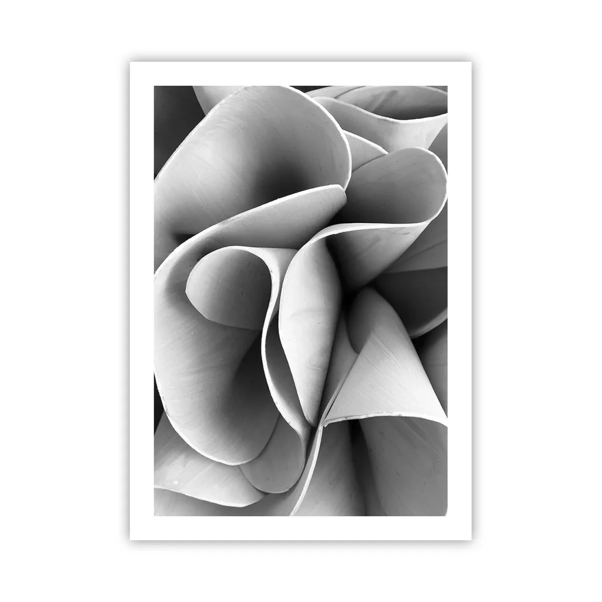 Affiche - Poster - Pétales abstraits dans des tons de gris - 50x70cm - Il s'en passe dans l'espace - Décoration murale moderne pour le salon et la chambre ARTTOR
