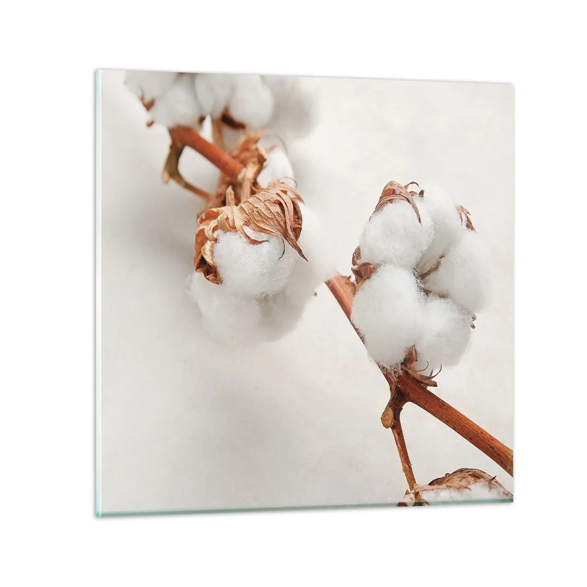 Impression sur verre - Image sur verre - Seulement caliner - 40x40 cm