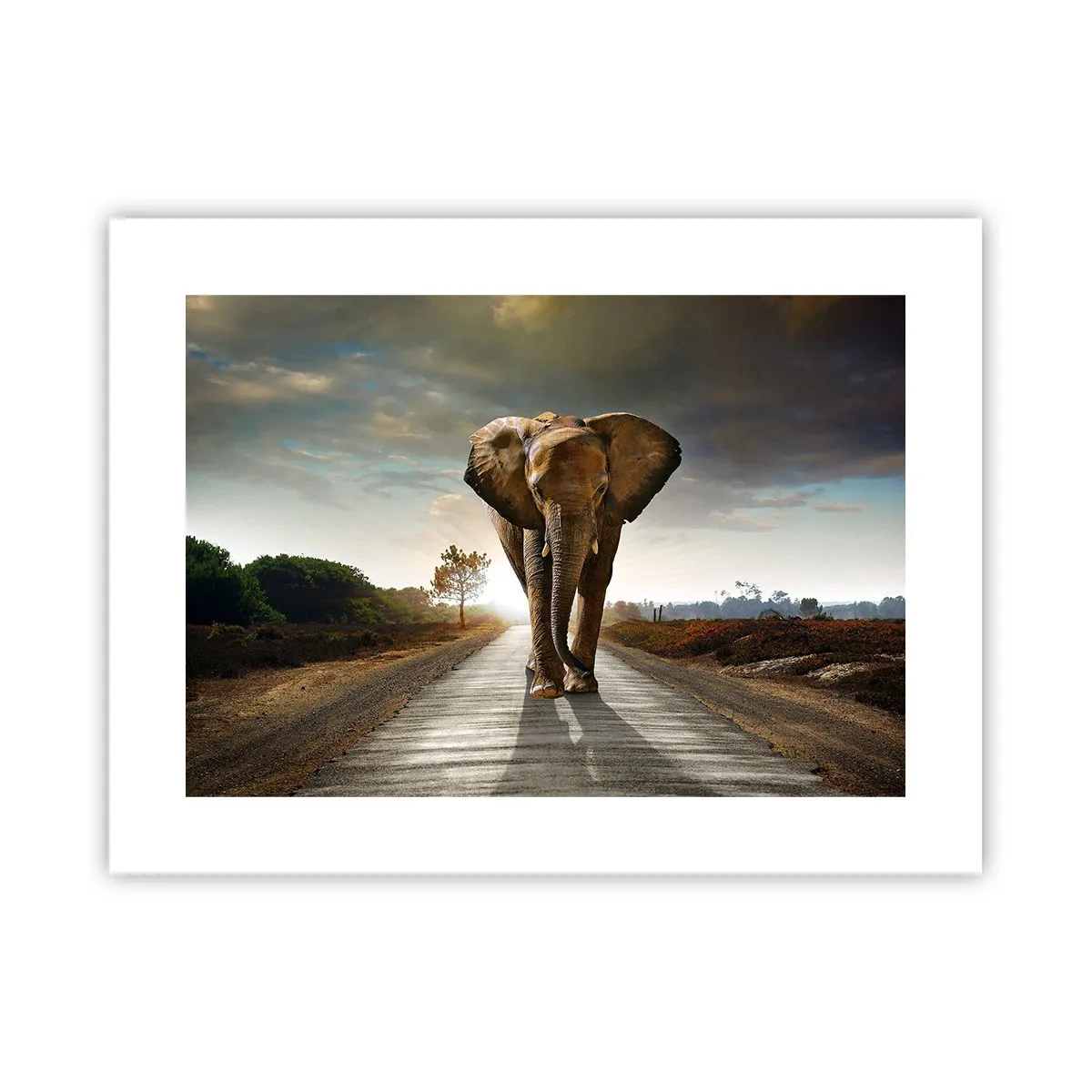 Affiche - Poster - Et pas du tout en porcelaine - 40x30 cm