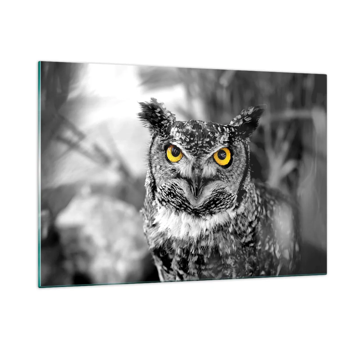 Impression sur verre - Image sur verre - Un hibou aux yeux jaunes sur fond noir et blanc - 120x80cm - Rien ne se cachera - Décoration murale moderne pour le salon et la chambre ARTTOR