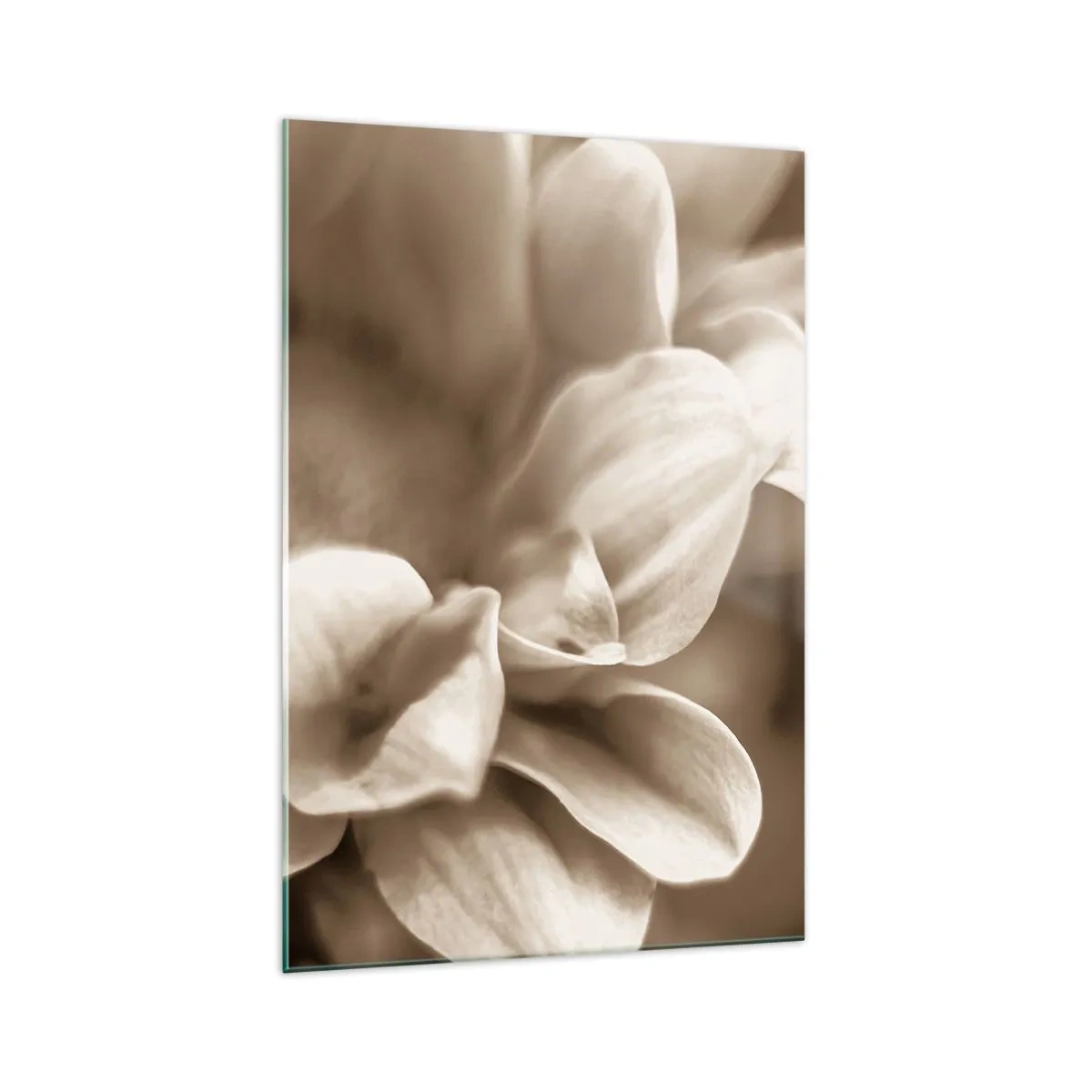 Impression sur verre - Image sur verre - Gros plan de fleurs dans un ton sépia délicat avec des contours doux - 70x100cm - Doux comme un sourire - Décoration murale moderne pour le salon et la chambre ARTTOR