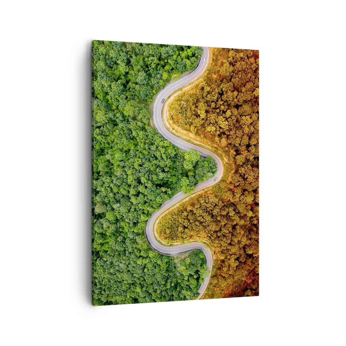 Impression sur toile - Image sur toile - Une route sinueuse à travers la forêt vue à vol d'oiseau - 50x70cm - Frontieres et differences - Décoration murale moderne pour le salon et la chambre ARTTOR