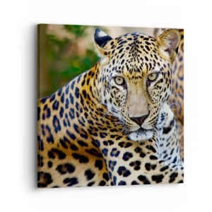 Impression sur toile - Image sur toile - Sauvage et calme - 30x30 cm