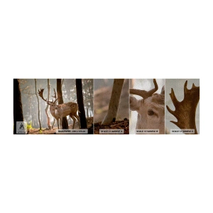 Échantillon de Papier Peint Premium Sand - La lumière de la jeunesse - Animaux, Cerf, Forêt - 100x30 cm