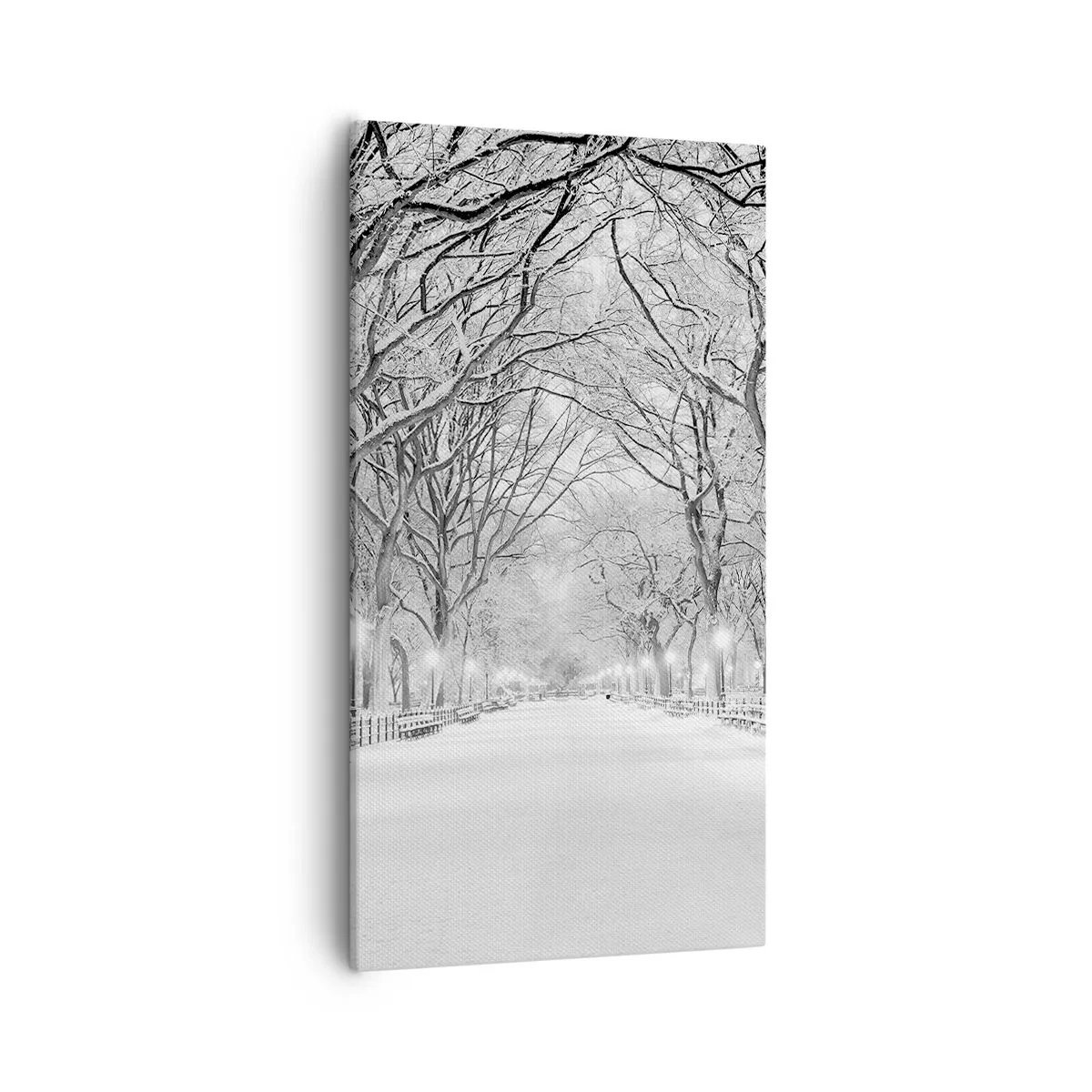 Impression sur toile - Image sur toile - Les quatres saisons – l’hiver - 55x100 cm