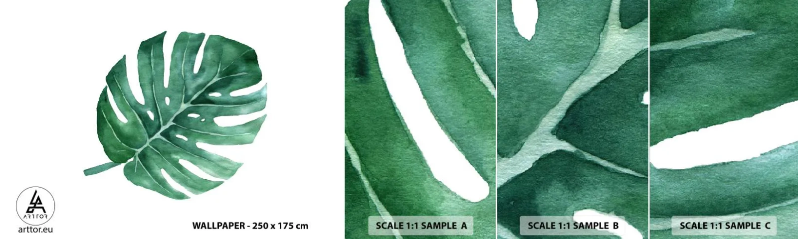 Échantillon De Papier Peint Standard Eco - Concept vert - Monstre, Feuille, Bohème - 100x30 cm