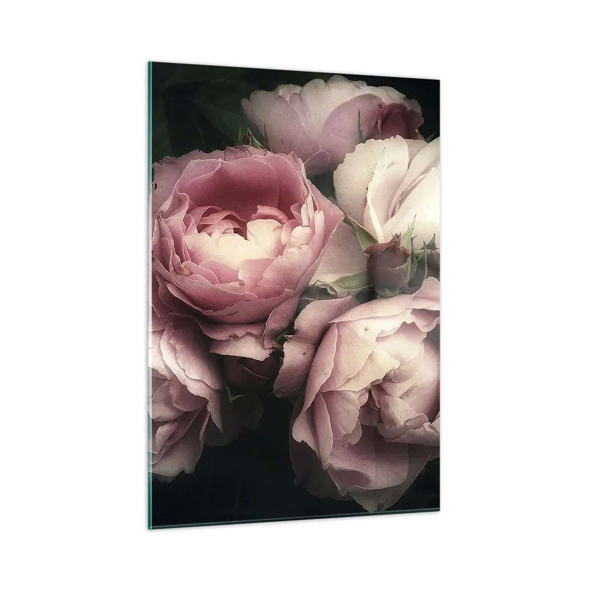 Impression sur verre - Image sur verre - Un bouquet de roses roses dans un éclairage doux avec une touche vintage - 50x70cm - Le charme de la belle époque - Décoration murale moderne pour le salon et la chambre ARTTOR